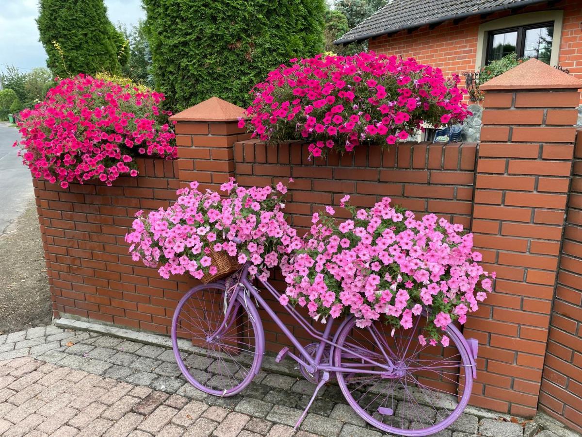 Hortus Apartament Z Klimatyzacja Boleslawiec  Extérieur photo