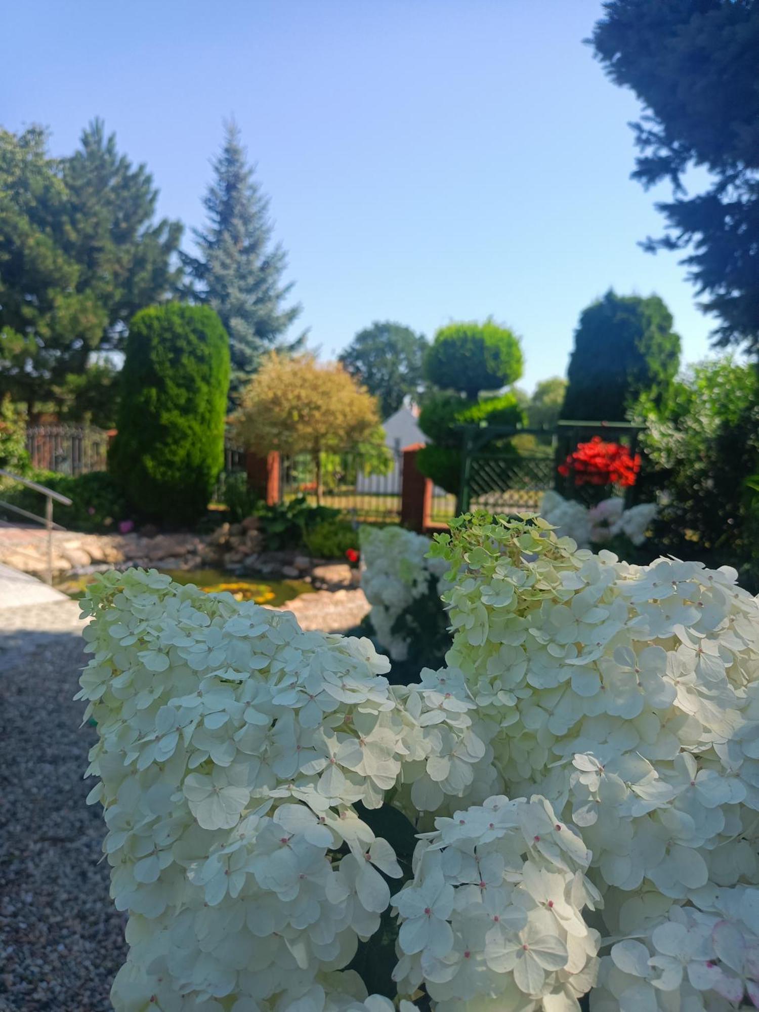 Hortus Apartament Z Klimatyzacja Boleslawiec  Extérieur photo