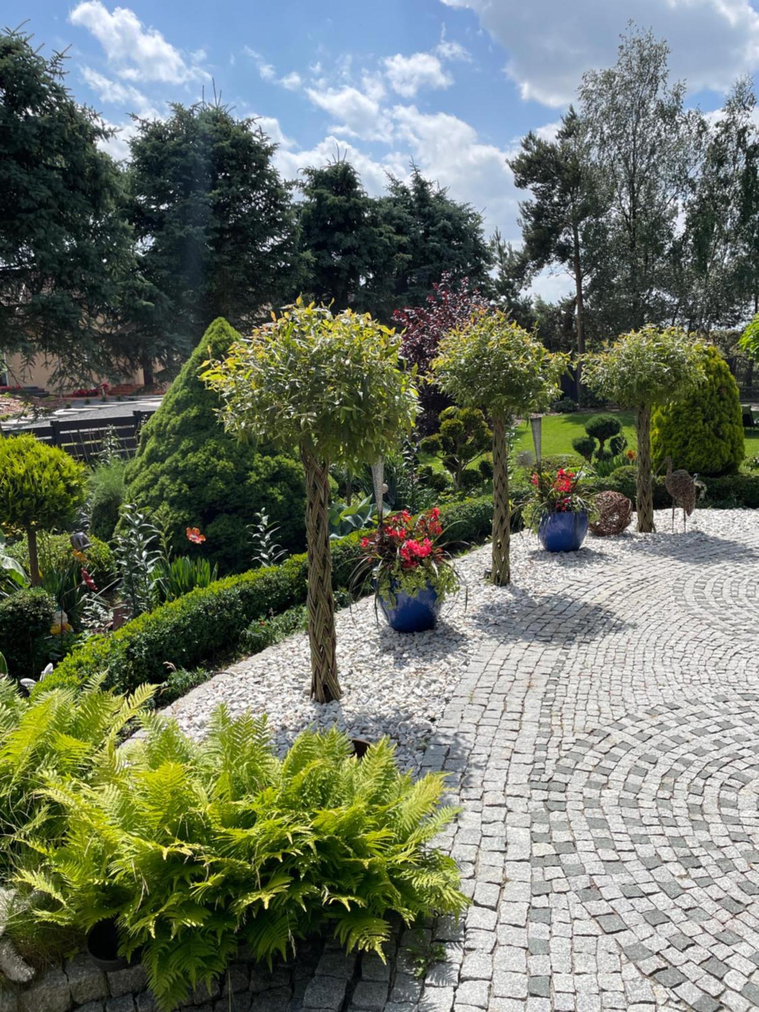 Hortus Apartament Z Klimatyzacja Boleslawiec  Extérieur photo